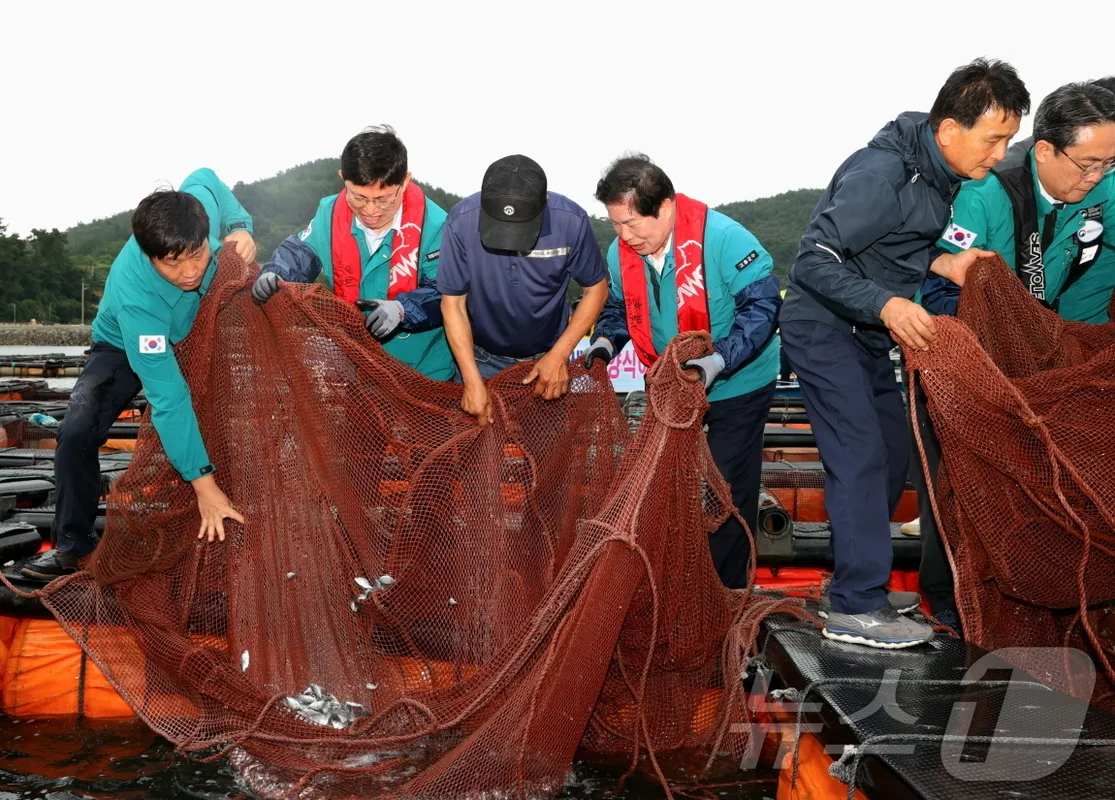 고흥경보이-그린 청약 분석 — 전남 입지·분양가·투자 가치 완벽 정리 2026