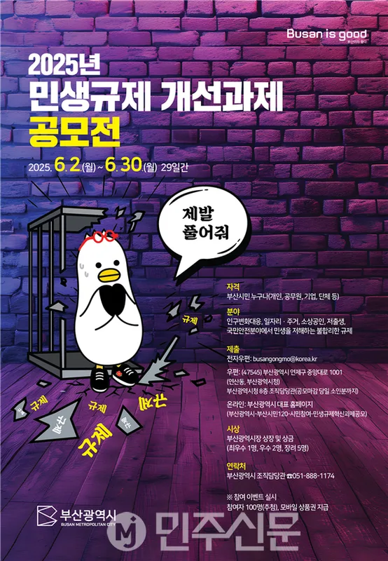 EU 포장규제 강화 2025년 시행 | 한국 기업 대응 전략과 산업 영향 분석