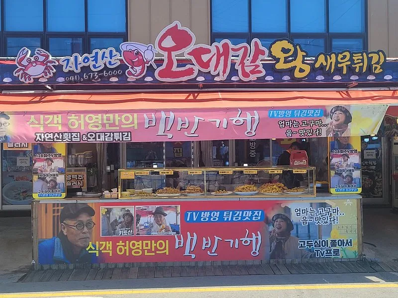 카밀리아하우스 충남 태안군 | 2026년 분양 청약 가이드 및 시장 분석