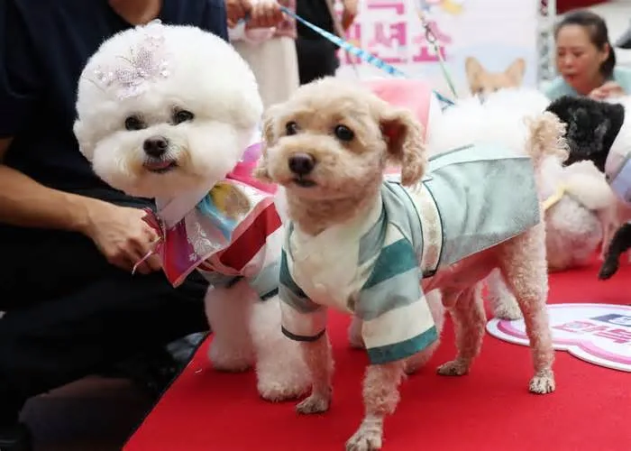 Newmont (NEM) 주식 분석 — 소재 투자 가이드 2026