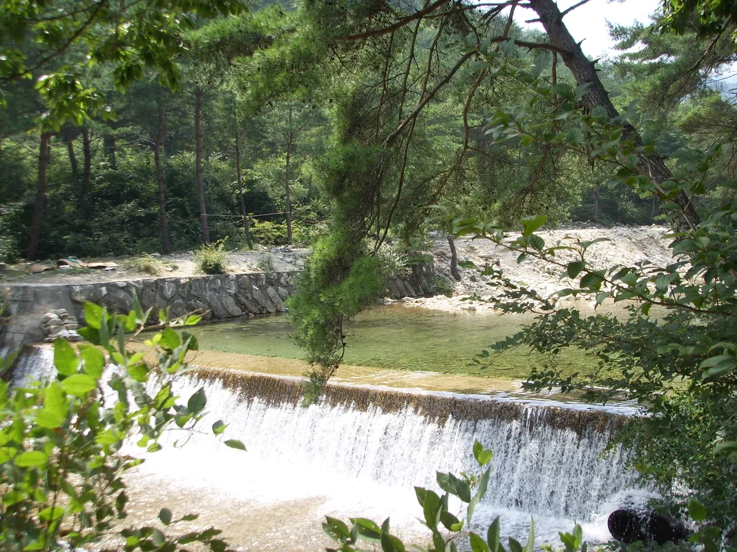 KODEX 200 (069500) 목표주가 분석 — 증권사 컨센서스 & 적정 가치 평가 2026