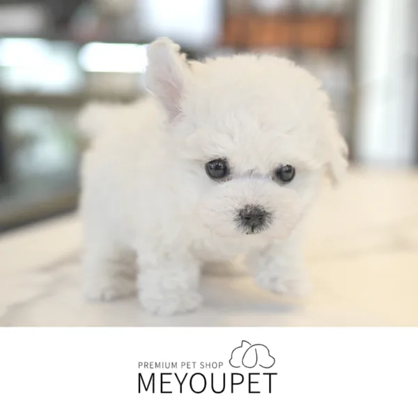 탑 실거래가 분석 — 서울 관악구 시세·평당가·거래 동향 (2026)