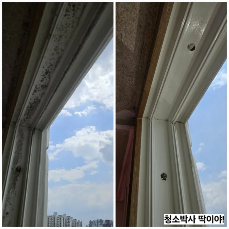 오산역e-편한세상2단지 청약 분석 — 경기 입지·분양가·투자 가치 완벽 정리 2026