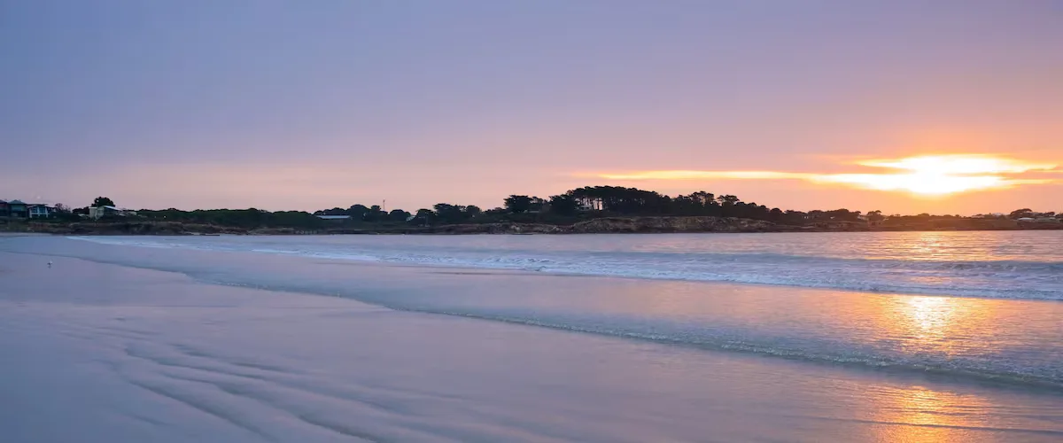 남호비치타워 청약 분석 — 경북 입지·분양가·투자 가치 완벽 정리 2026