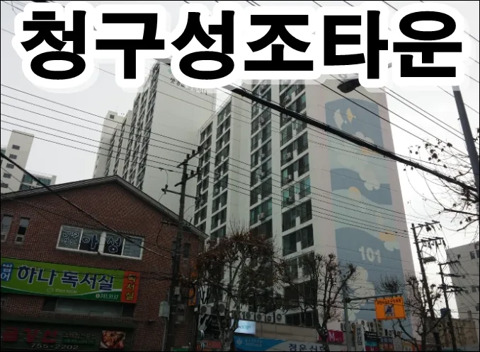 성조타운(101동) 청약 분석 — 경북 입지·분양가·투자 가치 완벽 정리 2026