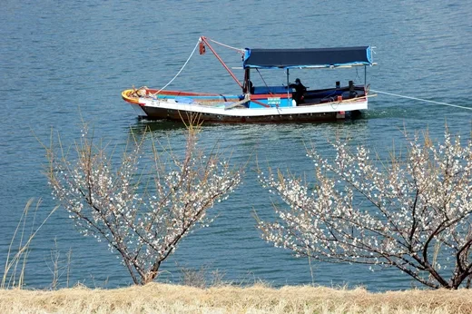 전남 광양시 미분양 미분양 현황 — 전남 광양시 잔여세대·분양가·입주 정보 (2026)