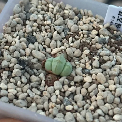 썬플라워빌 실거래가 분석 — 부산 부산진구 시세·평당가·거래 동향 (2026)