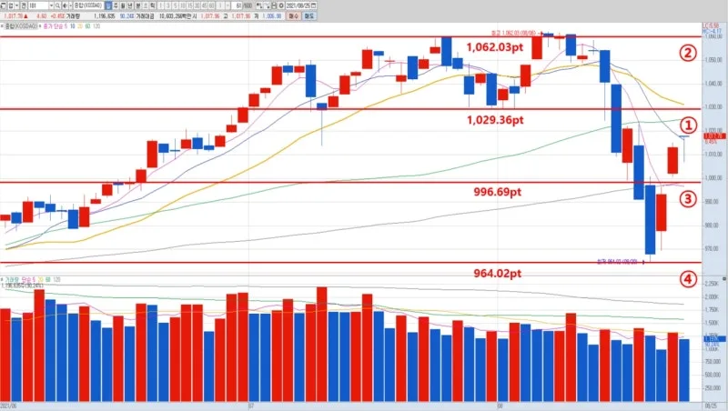 원익IPS (240810) 주가 분석 — 시세·전망·투자 포인트 총정리 (2026)
