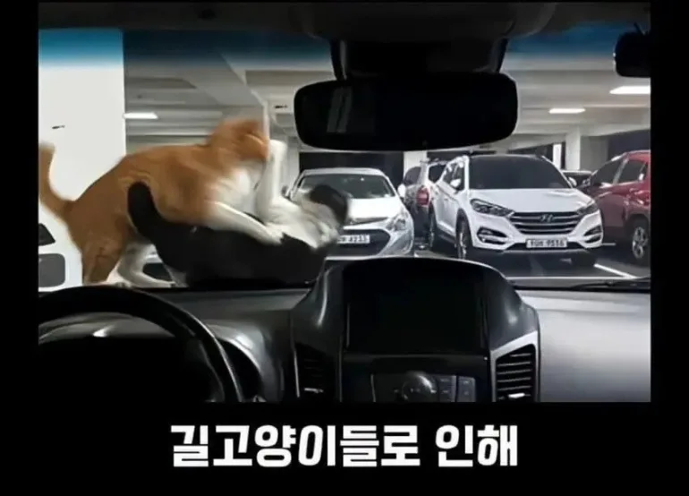 경기 30,000만원~40,000만원 아파트 실거래 총정리 — 5건 단지·시세·면적 (2026)