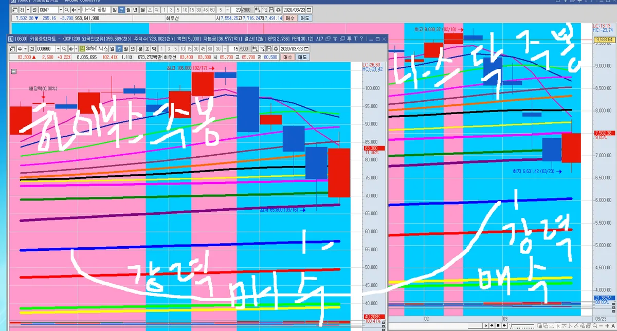 삼성화재 vs 카카오뱅크 비교 — 금융 투자 선택
