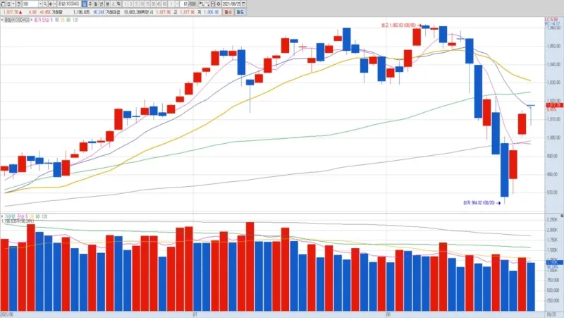 엑스페릭스 업종 분석 — 2026 투자 포인트