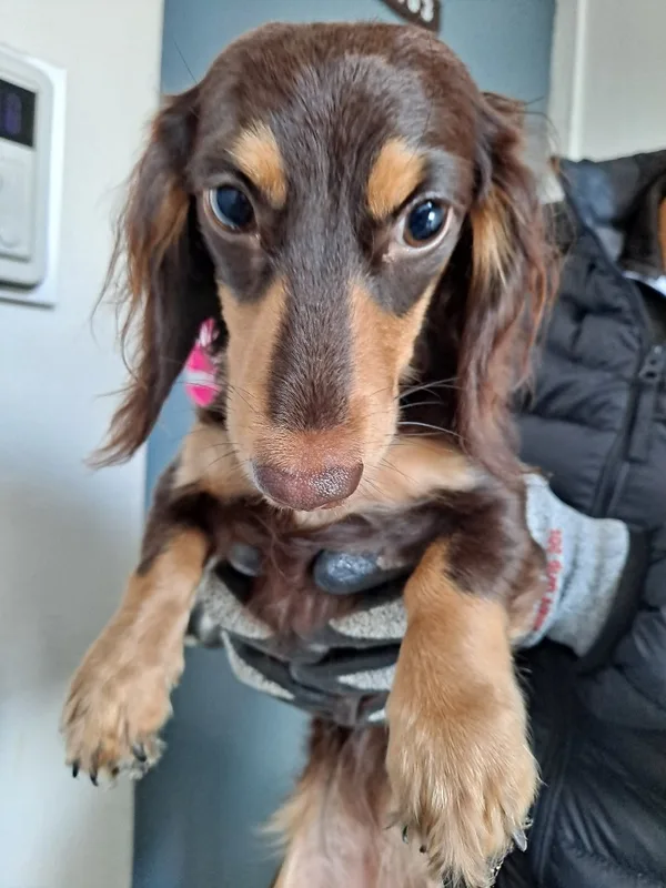 장평거원 청약 분석 — 경남 입지·분양가·투자 가치 완벽 정리 2026