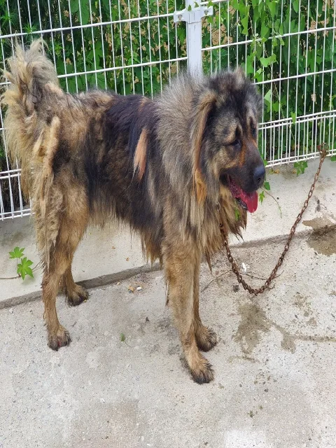 충주 예성세경아파트 투자 분석 — 충북