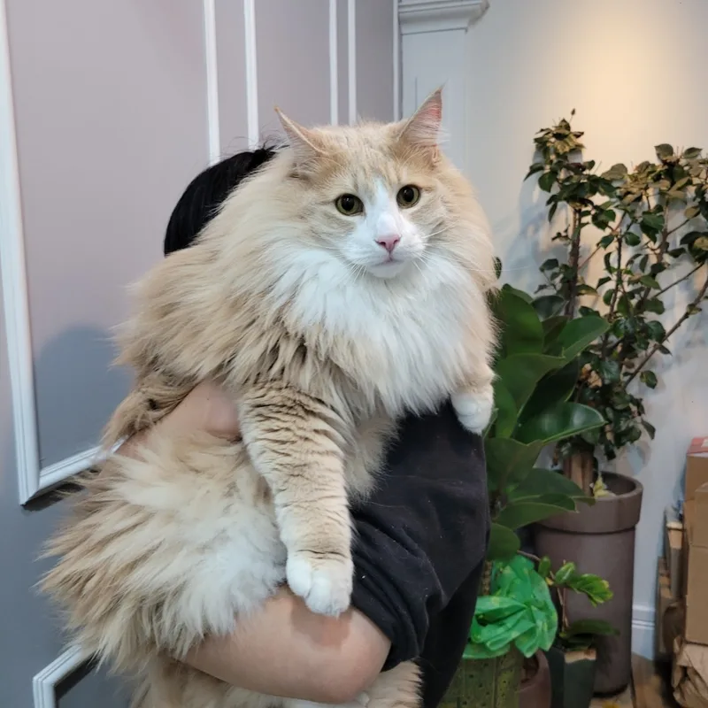 옥천장야주공(1)단지 청약 분석 — 충북 입지·분양가·투자 가치 완벽 정리 2026