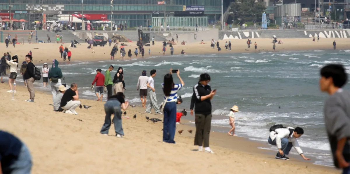 부산 북구 청약 전략 — 가점별 당첨 확률과 준비 체크리스트 (2026)