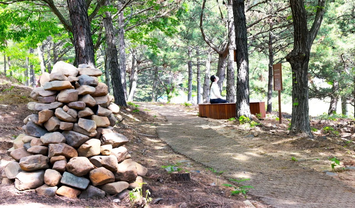 보령시청사 주변·명천동 근린공원 힐링산책코스로 인기
