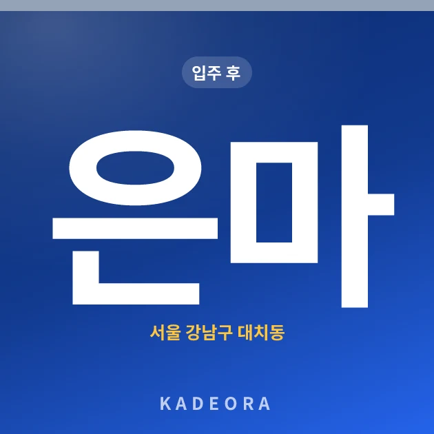 은마아파트 — 강남구 아파트 분양