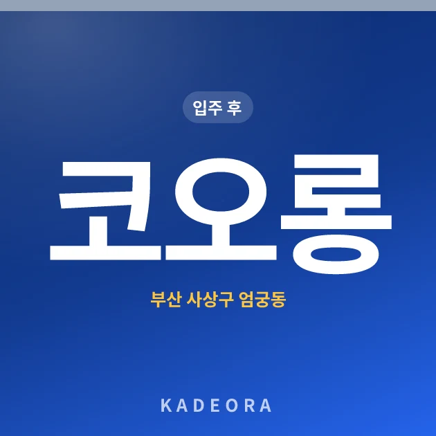코오롱 — 사상구 아파트 분양