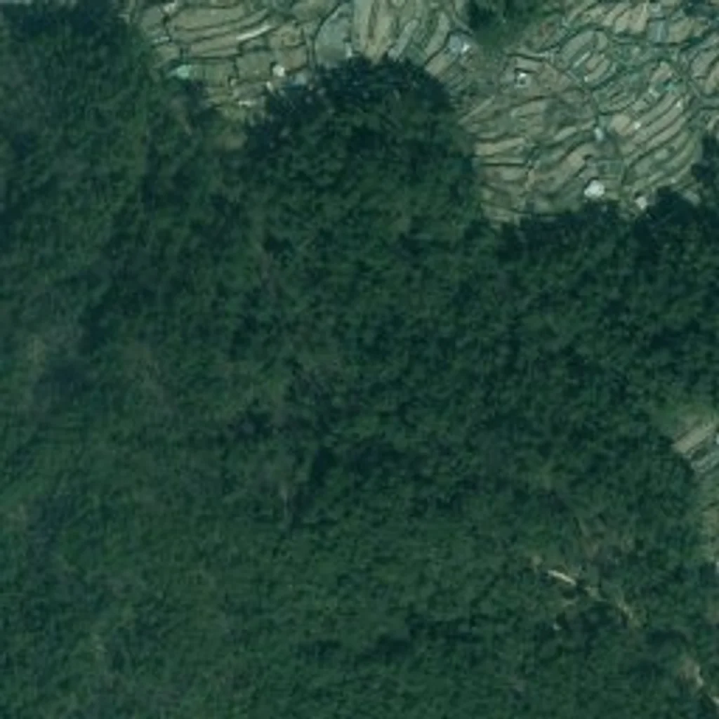 주례청구 부산 위성사진