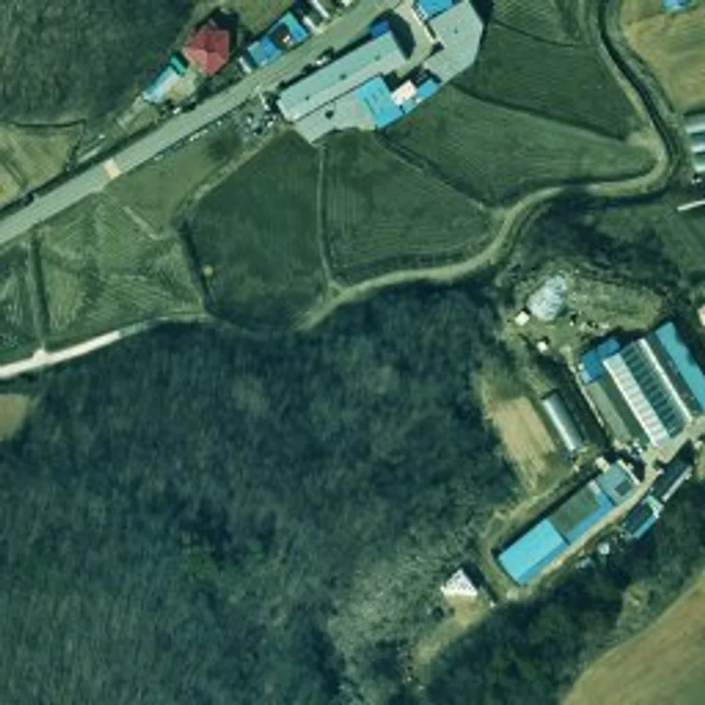 산수화 충북 위성사진