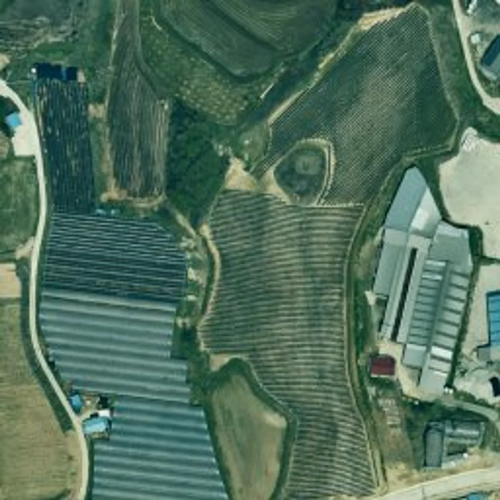 우장산롯데캐슬 서울 위성사진
