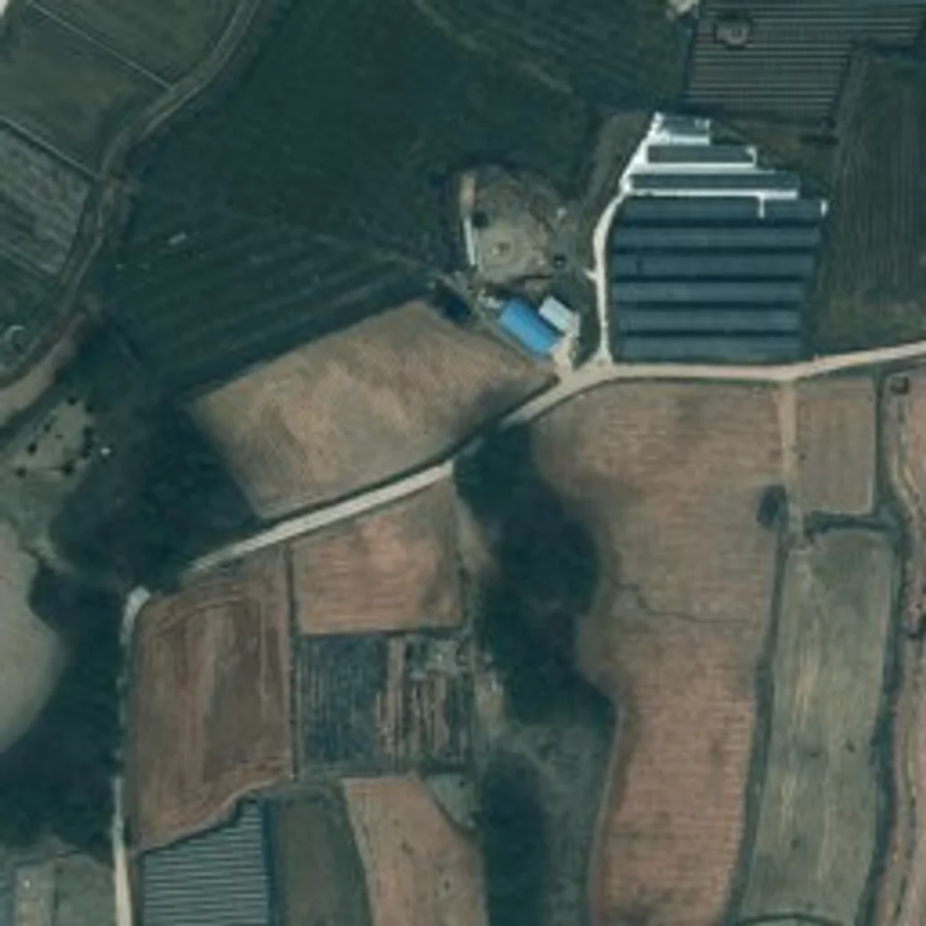 효자동자이 전북 위성사진