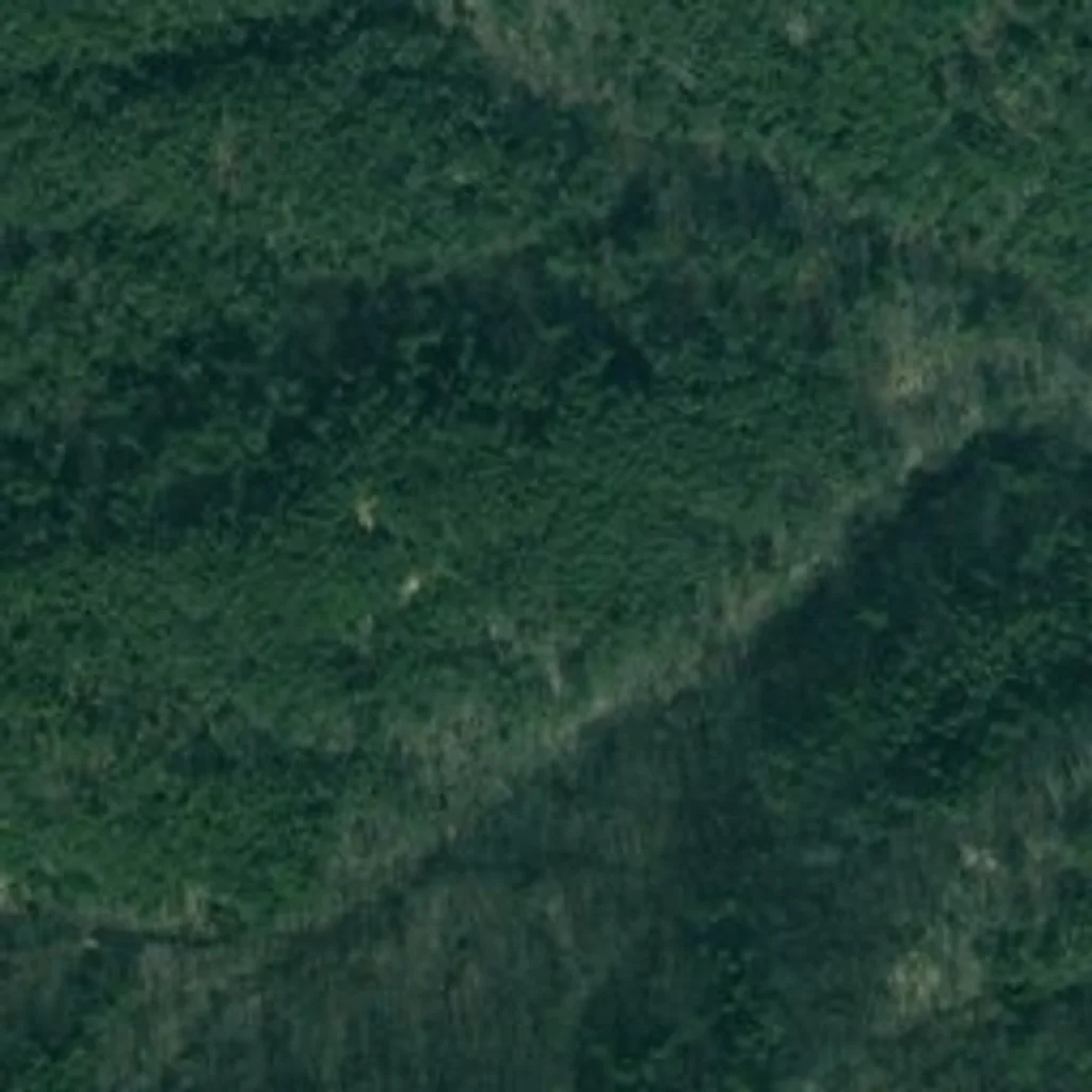 DUO302 서울 위성사진